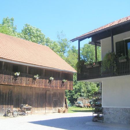 Guest House Kmetija Dane Extérieur photo